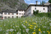 20120512_091616 Prati fioriti.jpg